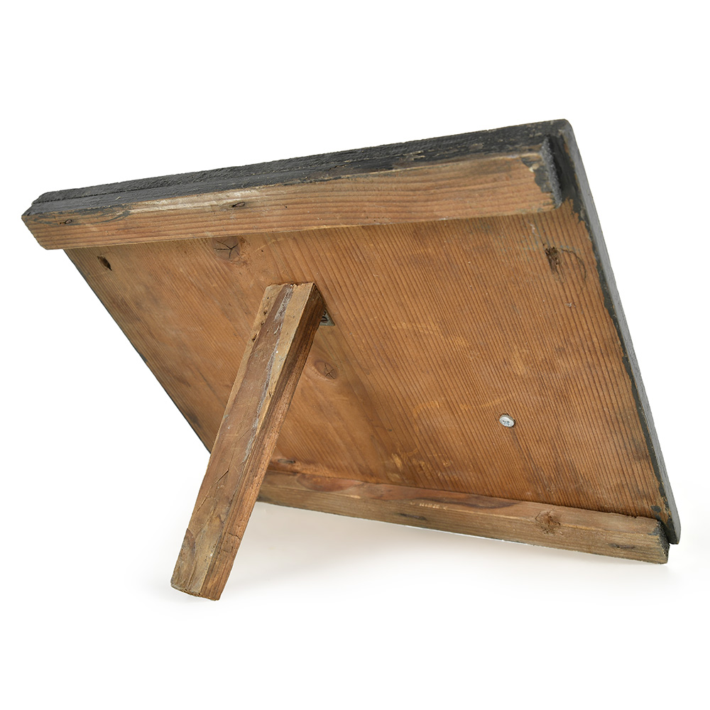 maquette-coeur-poumons_006