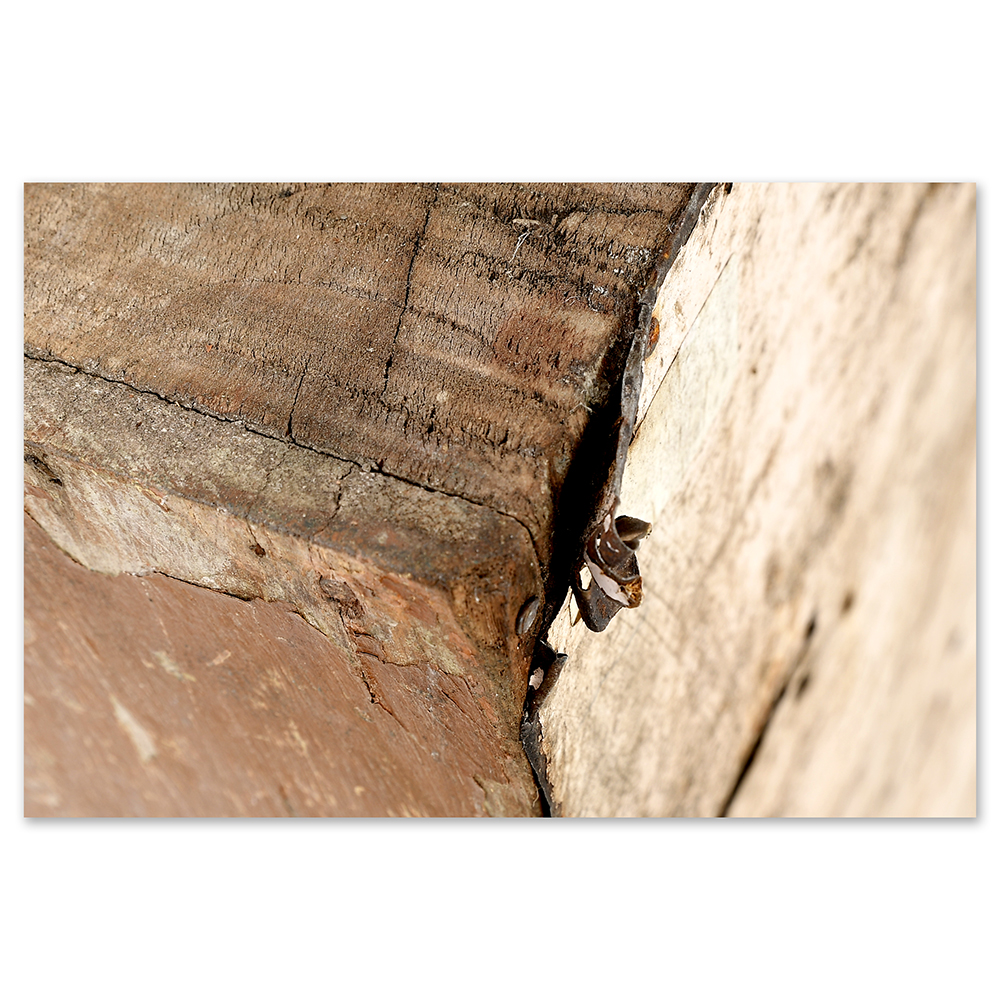 meuble-rangement_006